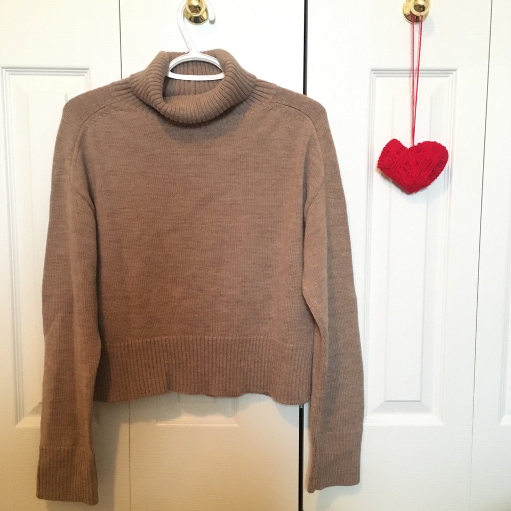 New Aritzia Wool Sweater